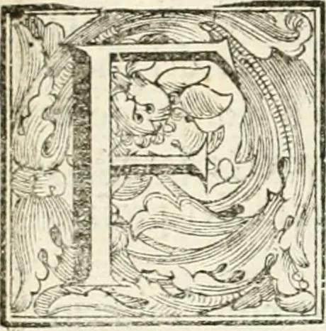 An illustration from Discorso del cavalier Carlo Fontana sopra il Monte Citatorio situato nel Campo Martio, ed altre cose ad esso appartenenti, con disegni tanto degl' antichi, quanto de' moderni edificii della nuova Curia, 1694, leaf 17