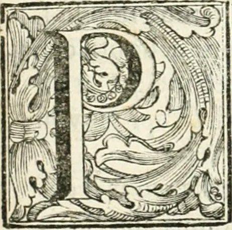 An illustration from Discorso del cavalier Carlo Fontana sopra il Monte Citatorio situato nel Campo Martio, ed altre cose ad esso appartenenti, con disegni tanto degl' antichi, quanto de' moderni edificii della nuova Curia, 1694, leaf 17