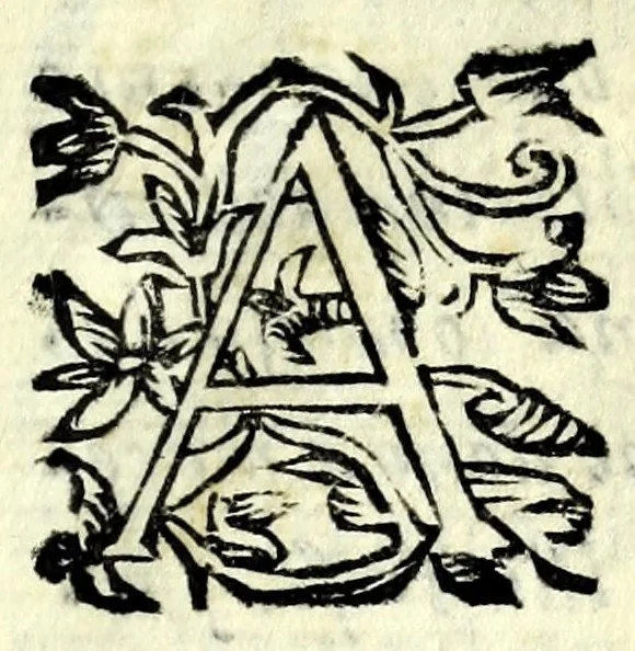 An illustration from Discorso della lingva bolognese : in questa terza impressione arrichito di molte curiosità vtili à signori forastieri : doue si dilucidano intelligenza dell'idioma, academici ritroui, attinenze del studio, vsanze della città, commerzio del trafico, nouelle morali, onoranze di virtuosi, esercizi bellici, trattenimenti popolari, faceti discorsi, cianciumi donneschi, prouerbi dichiarati : bizarro capriccio, 1630, leaf 7