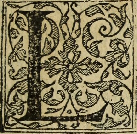 An illustration from Discorso della religione antica de Romani, insieme vn'altro Discorso della castrametatione, et disciplina militare, bagni, & essercitij antichi di detti Romani;, 1569, leaf 10