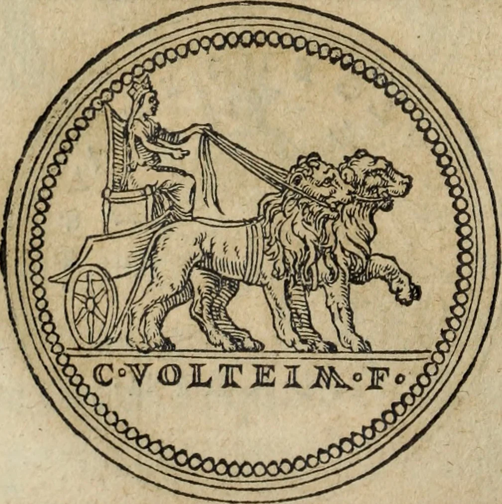 An illustration from Discorso della religione antica de Romani, insieme vn'altro Discorso della castrametatione, et disciplina militare, bagni, & essercitij antichi di detti Romani;, 1569, leaf 101