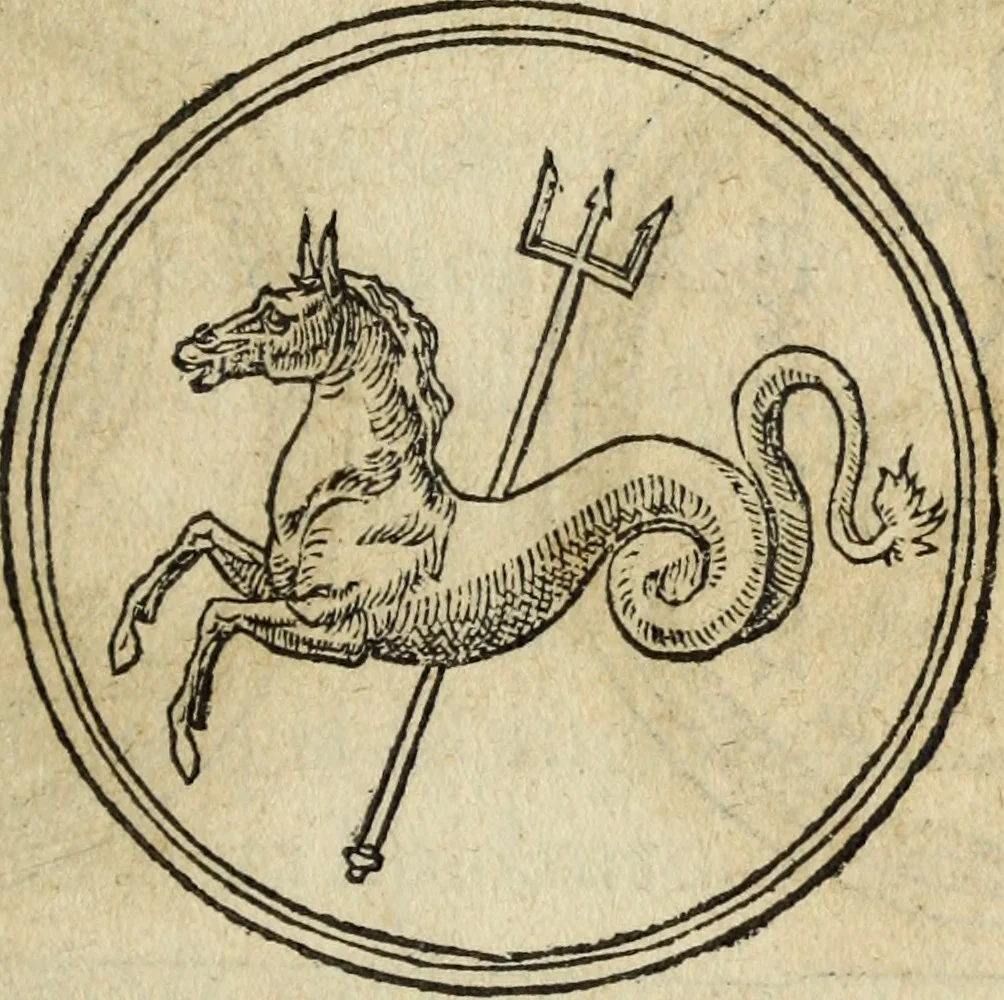 An illustration from Discorso della religione antica de Romani, insieme vn'altro Discorso della castrametatione, et disciplina militare, bagni, & essercitij antichi di detti Romani;, 1569, leaf 110