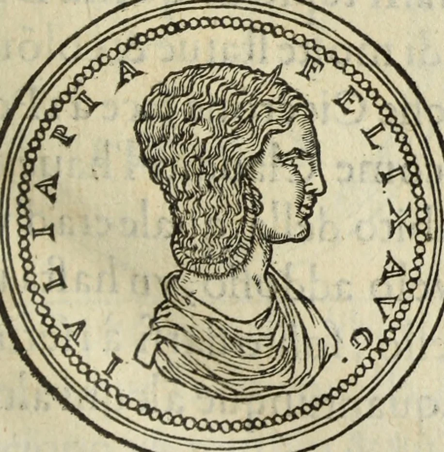 An illustration from Discorso della religione antica de Romani, insieme vn'altro Discorso della castrametatione, et disciplina militare, bagni, & essercitij antichi di detti Romani;, 1569, leaf 118