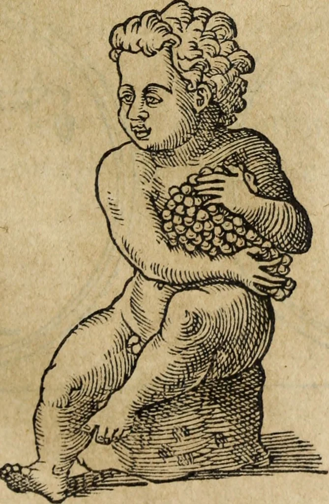 An illustration from Discorso della religione antica de Romani, insieme vn'altro Discorso della castrametatione, et disciplina militare, bagni, & essercitij antichi di detti Romani;, 1569, leaf 144