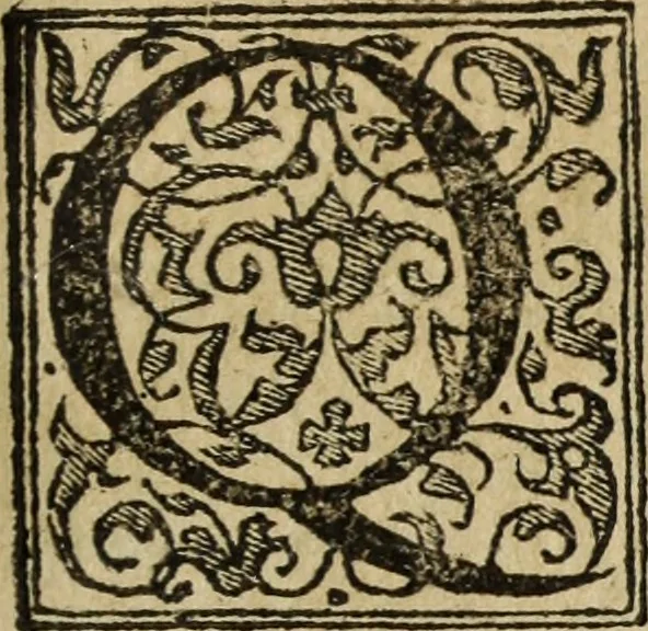 An illustration from Discorso della religione antica de Romani, insieme vn'altro Discorso della castrametatione, et disciplina militare, bagni, & essercitij antichi di detti Romani;, 1569, leaf 228