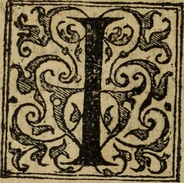 An illustration from Discorso della religione antica de Romani, insieme vn'altro Discorso della castrametatione, et disciplina militare, bagni, & essercitij antichi di detti Romani;, 1569, leaf 237