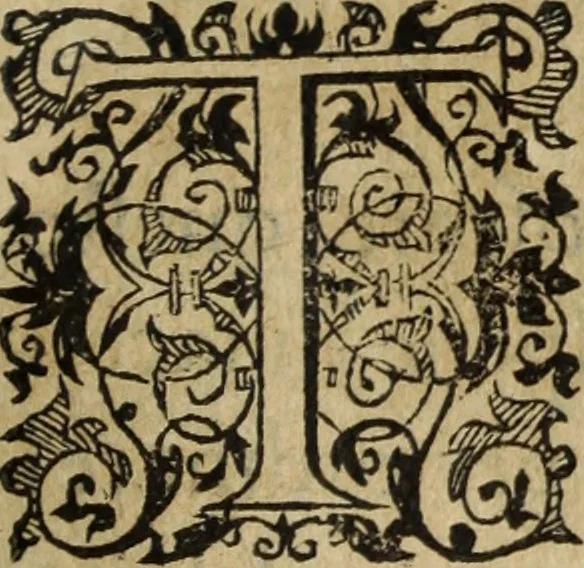 An illustration from Discorso della religione antica de Romani, insieme vn'altro Discorso della castrametatione, et disciplina militare, bagni, & essercitij antichi di detti Romani;, 1569, leaf 238