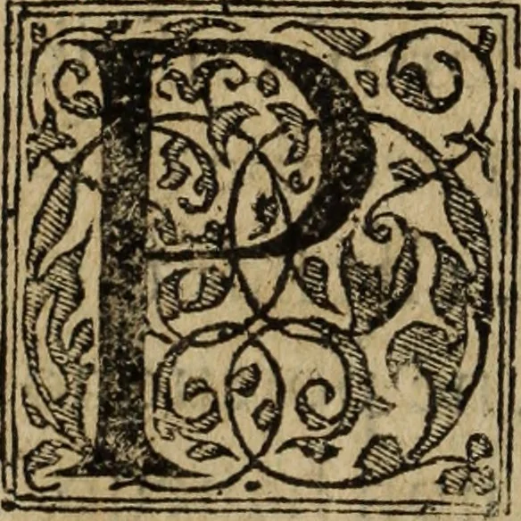An illustration from Discorso della religione antica de Romani, insieme vn'altro Discorso della castrametatione, et disciplina militare, bagni, & essercitij antichi di detti Romani;, 1569, leaf 239