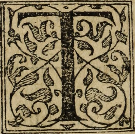 An illustration from Discorso della religione antica de Romani, insieme vn'altro Discorso della castrametatione, et disciplina militare, bagni, & essercitij antichi di detti Romani;, 1569, leaf 241