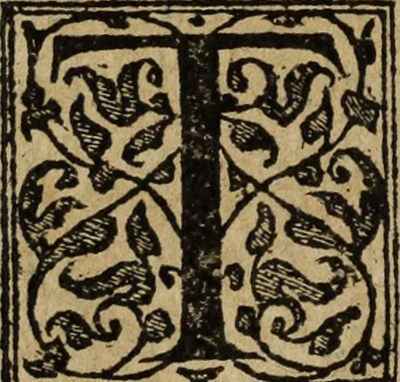 An illustration from Discorso della religione antica de Romani, insieme vn'altro Discorso della castrametatione, et disciplina militare, bagni, & essercitij antichi di detti Romani;, 1569, leaf 245
