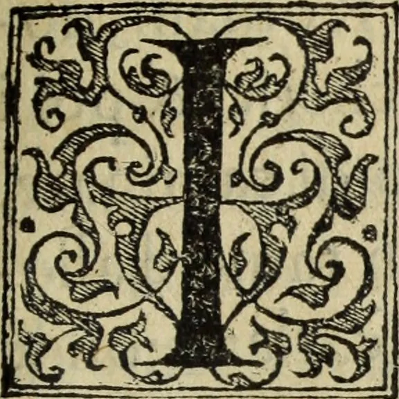 An illustration from Discorso della religione antica de Romani, insieme vn'altro Discorso della castrametatione, et disciplina militare, bagni, & essercitij antichi di detti Romani;, 1569, leaf 248