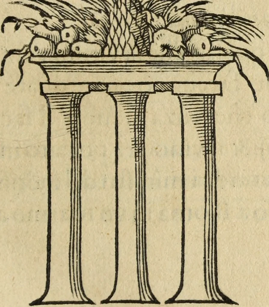 An illustration from Discorso della religione antica de Romani, insieme vn'altro Discorso della castrametatione, et disciplina militare, bagni, & essercitij antichi di detti Romani;, 1569, leaf 276