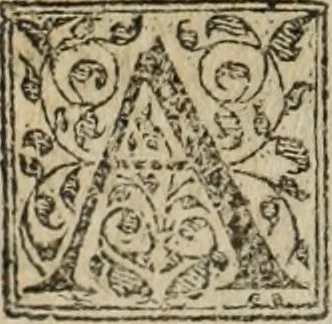 An illustration from Discorso della religione antica de Romani, insieme vn'altro Discorso della castrametatione, et disciplina militare, bagni, & essercitij antichi di detti Romani;, 1569, leaf 305