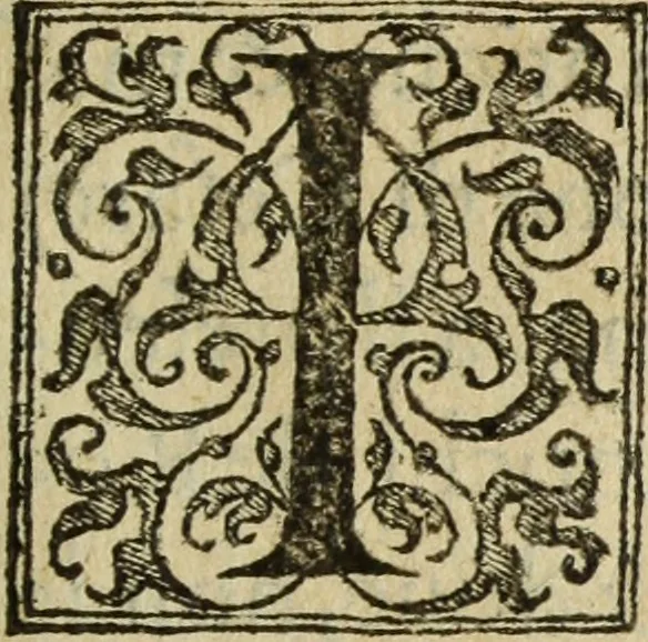 An illustration from Discorso della religione antica de Romani, insieme vn'altro Discorso della castrametatione, et disciplina militare, bagni, & essercitij antichi di detti Romani;, 1569, leaf 314