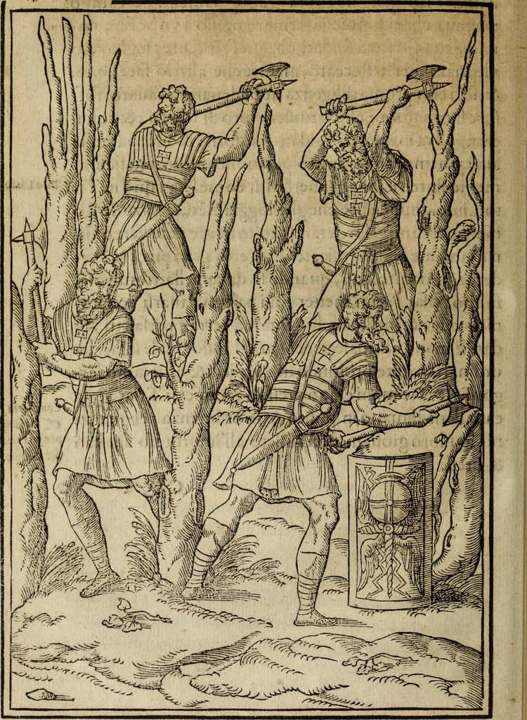 An illustration from Discorso della religione antica de Romani, insieme vn'altro Discorso della castrametatione, et disciplina militare, bagni, & essercitij antichi di detti Romani;, 1569, leaf 347