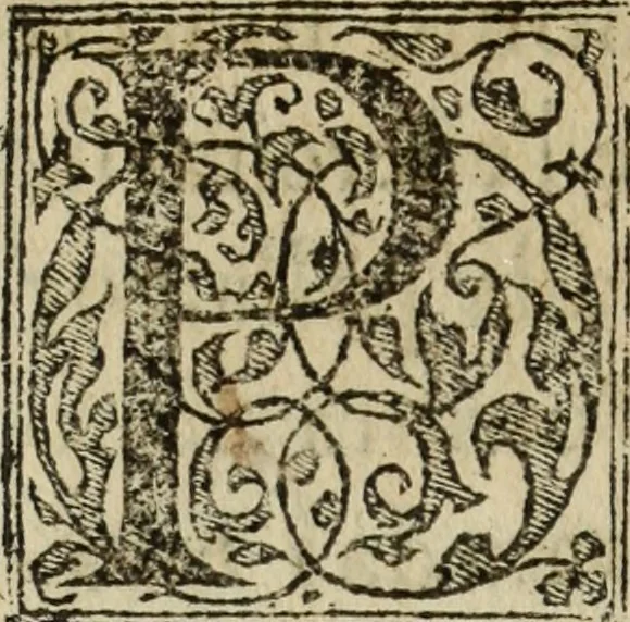 An illustration from Discorso della religione antica de Romani, insieme vn'altro Discorso della castrametatione, et disciplina militare, bagni, & essercitij antichi di detti Romani;, 1569, leaf 467