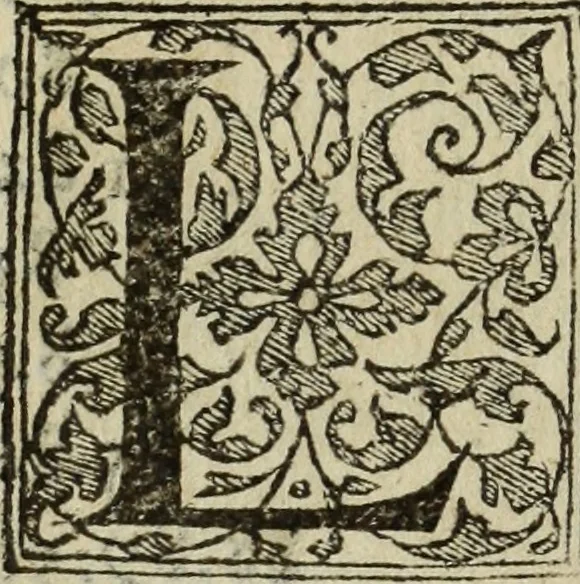 An illustration from Discorso della religione antica de Romani, insieme vn'altro Discorso della castrametatione, et disciplina militare, bagni, & essercitij antichi di detti Romani;, 1569, leaf 471
