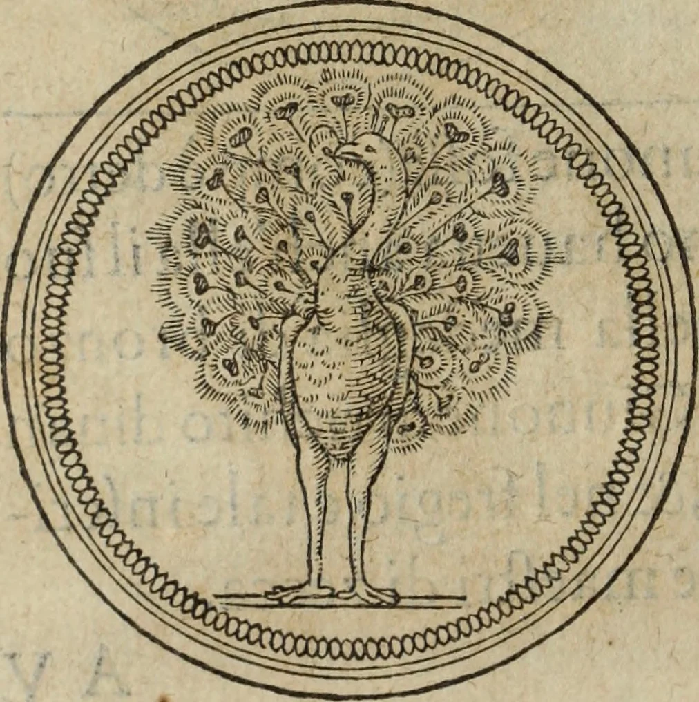 An illustration from Discorso della religione antica de Romani, insieme vn'altro Discorso della castrametatione, et disciplina militare, bagni, & essercitij antichi di detti Romani;, 1569, leaf 55