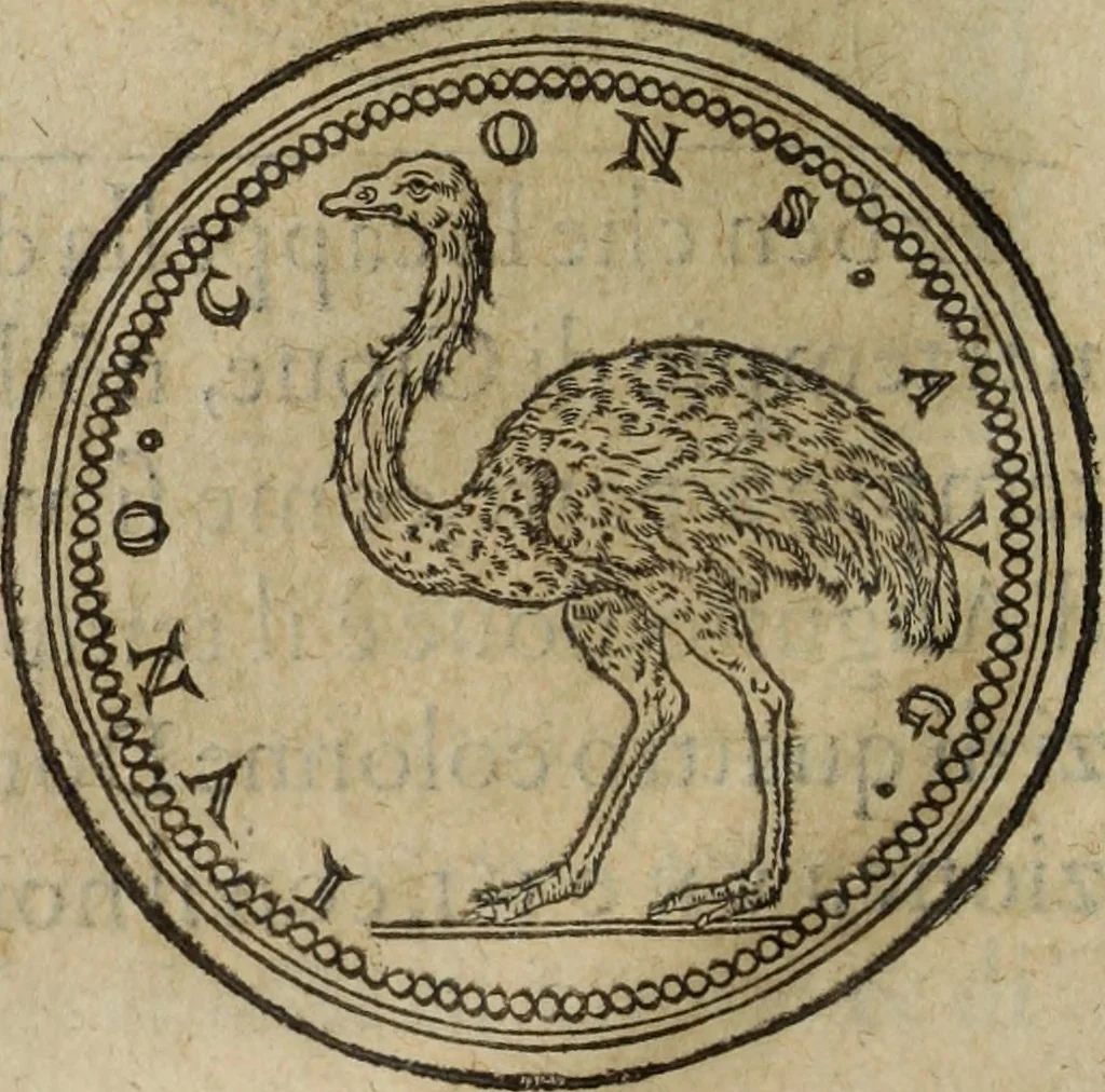 An illustration from Discorso della religione antica de Romani, insieme vn'altro Discorso della castrametatione, et disciplina militare, bagni, & essercitij antichi di detti Romani;, 1569, leaf 55