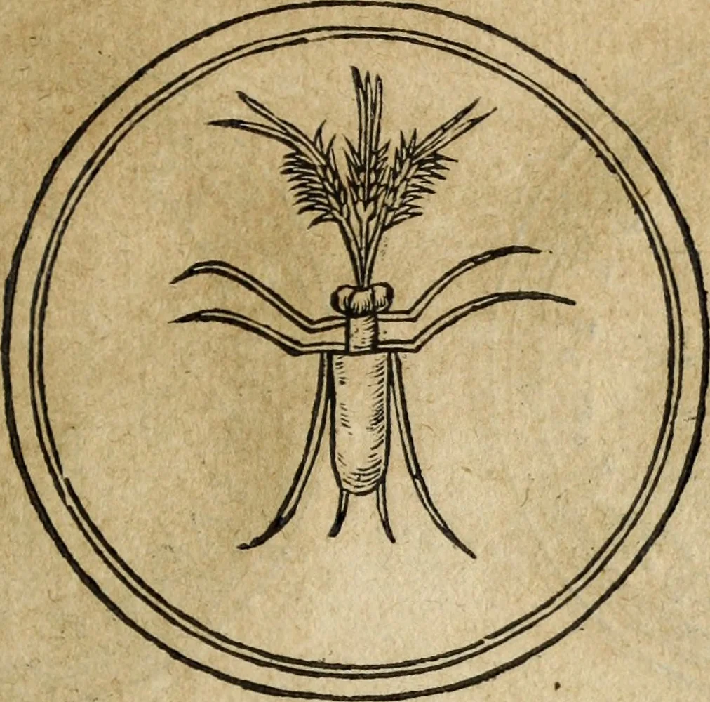 An illustration from Discorso della religione antica de Romani, insieme vn'altro Discorso della castrametatione, et disciplina militare, bagni, & essercitij antichi di detti Romani;, 1569, leaf 76