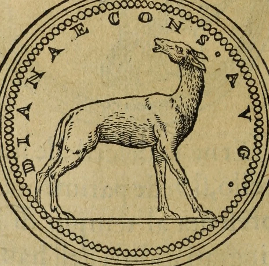 An illustration from Discorso della religione antica de Romani, insieme vn'altro Discorso della castrametatione, et disciplina militare, bagni, & essercitij antichi di detti Romani;, 1569, leaf 93
