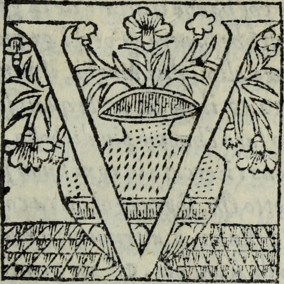 An illustration from Discorso del S. Gvglielmo Chovl ... sopra la castrametatione & bagni antichi de i Greci & Romani, 1559, leaf 12