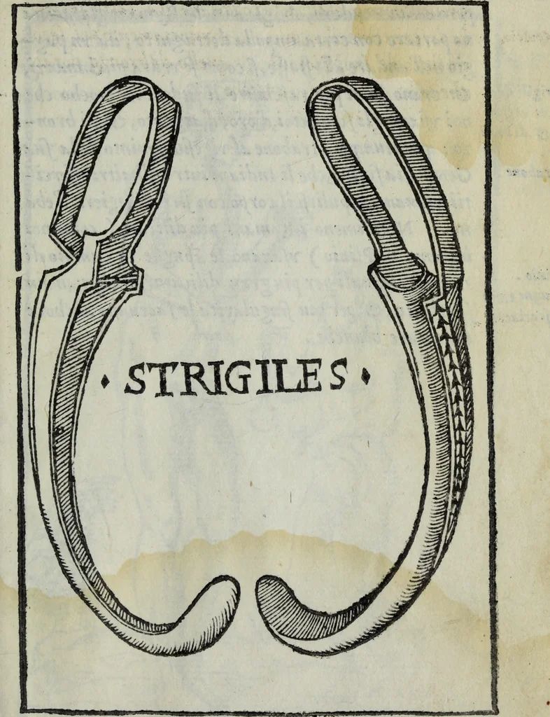 An illustration from Discorso del S. Gvglielmo Chovl ... sopra la castrametatione & bagni antichi de i Greci & Romani, 1559, leaf 134