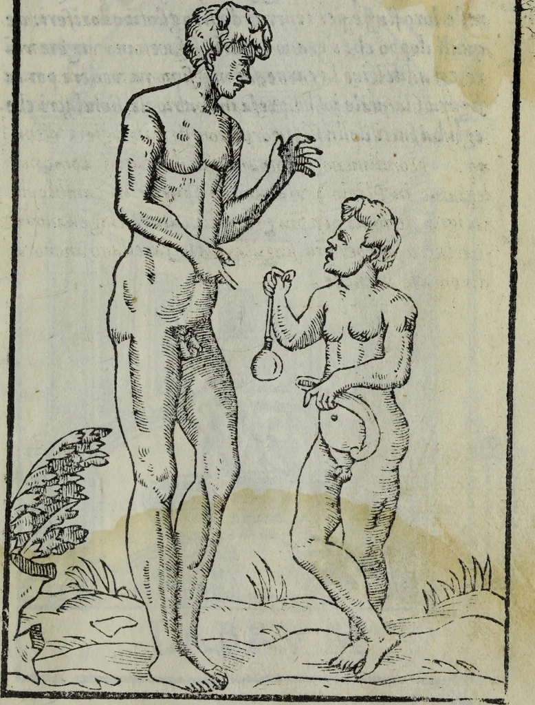 An illustration from Discorso del S. Gvglielmo Chovl ... sopra la castrametatione & bagni antichi de i Greci & Romani, 1559, leaf 136