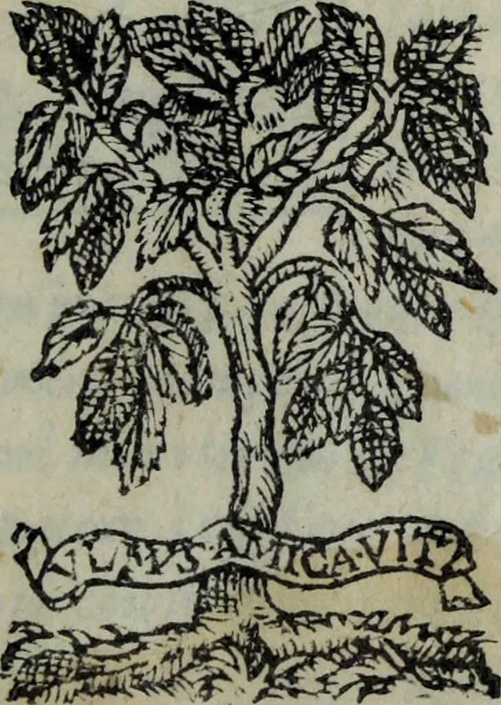 An illustration from Discorso del S. Gvglielmo Chovl ... sopra la castrametatione & bagni antichi de i Greci & Romani, 1559, leaf 4