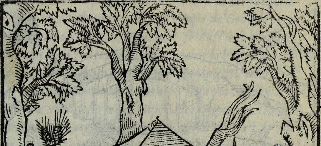 An illustration from Discorso del S. Gvglielmo Chovl ... sopra la castrametatione & bagni antichi de i Greci & Romani, 1559, leaf 46