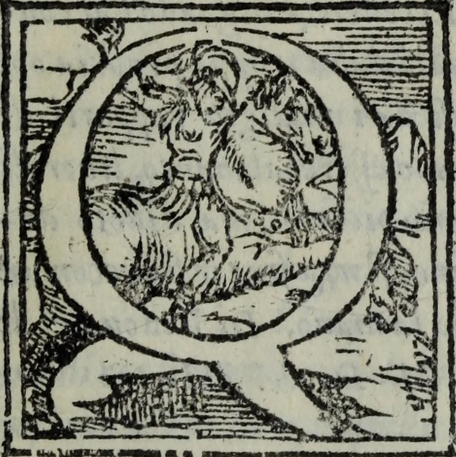 An illustration from Discorso del S. Gvglielmo Chovl ... sopra la castrametatione & bagni antichi de i Greci & Romani, 1559, leaf 6