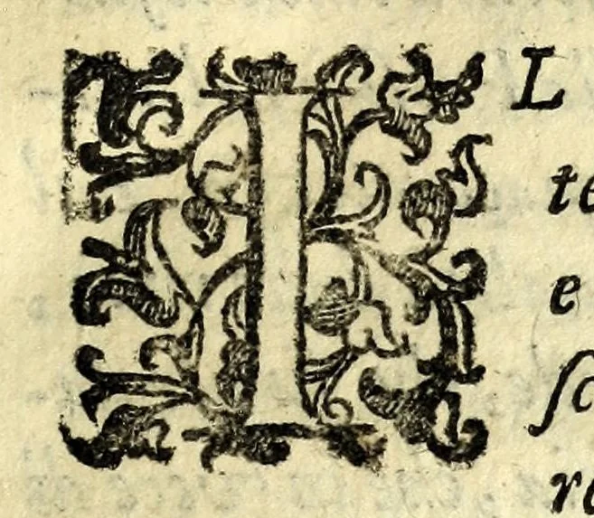 An illustration from Discorso di Agostino Michele, in cui contra l'opinione di tutti più illustri scrittori dell'arte poetica chiaramente si dimostra : come si possono scriuere con molta lode le comedie, e le tragedie in prosa : et di molti altri precetti di cotal arte assai copiosamente si ragiona, 1592, leaf 39