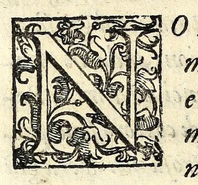 An illustration from Discorso di Agostino Michele, in cui contra l'opinione di tutti più illustri scrittori dell'arte poetica chiaramente si dimostra : come si possono scriuere con molta lode le comedie, e le tragedie in prosa : et di molti altri precetti di cotal arte assai copiosamente si ragiona, 1592, leaf 50