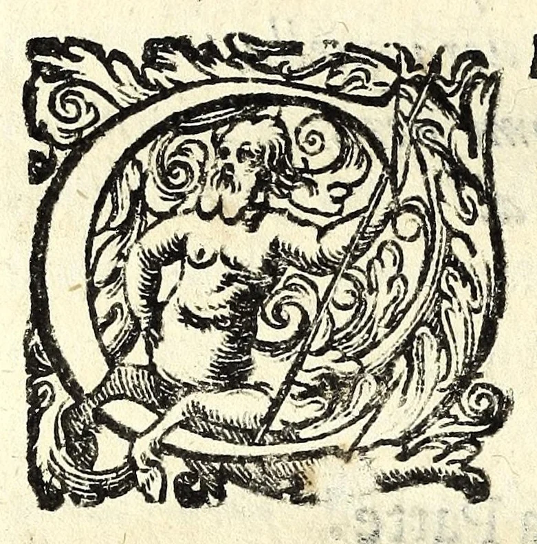 An illustration from Discorso di Agostino Michele, in cui contra l'opinione di tutti più illustri scrittori dell'arte poetica chiaramente si dimostra : come si possono scriuere con molta lode le comedie, e le tragedie in prosa : et di molti altri precetti di cotal arte assai copiosamente si ragiona, 1592, leaf 60