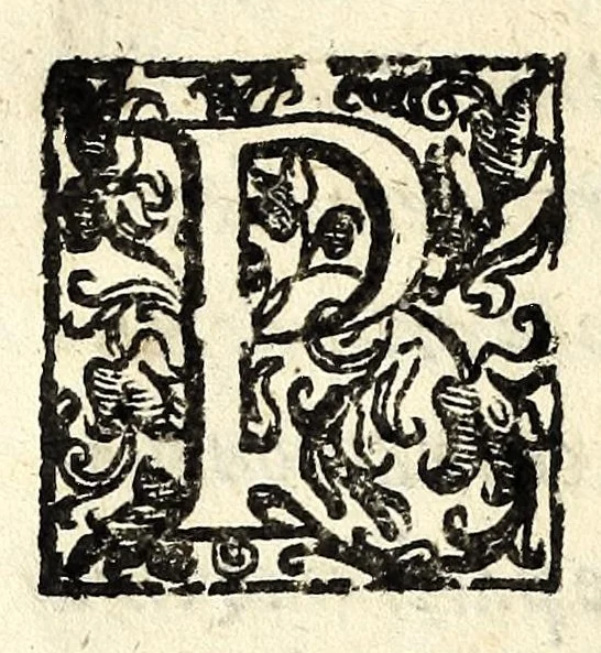 An illustration from Discorso di Agostino Michele, in cui contra l'opinione di tutti più illustri scrittori dell'arte poetica chiaramente si dimostra : come si possono scriuere con molta lode le comedie, e le tragedie in prosa : et di molti altri precetti di cotal arte assai copiosamente si ragiona, 1592, leaf 66
