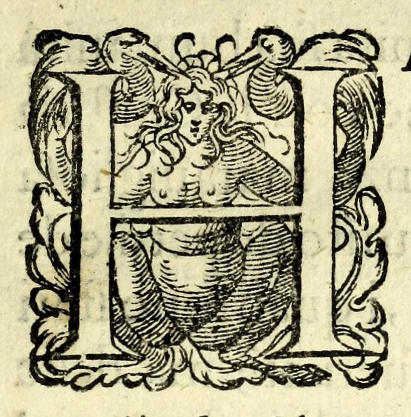 An illustration from Discorso di Agostino Michele, in cui contra l'opinione di tutti più illustri scrittori dell'arte poetica chiaramente si dimostra : come si possono scriuere con molta lode le comedie, e le tragedie in prosa : et di molti altri precetti di cotal arte assai copiosamente si ragiona, 1592, leaf 7