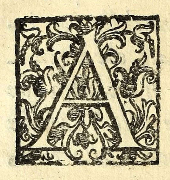 An illustration from Discorso di Agostino Michele, in cui contra l'opinione di tutti più illustri scrittori dell'arte poetica chiaramente si dimostra : come si possono scriuere con molta lode le comedie, e le tragedie in prosa : et di molti altri precetti di cotal arte assai copiosamente si ragiona, 1592, leaf 74