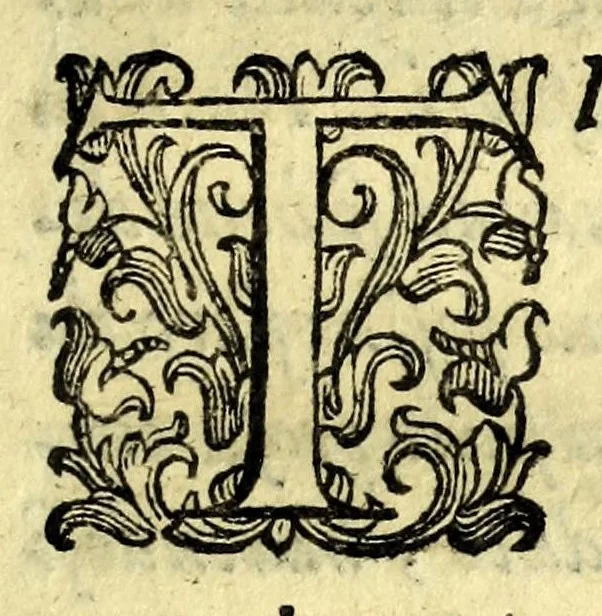 An illustration from Discorso di Agostino Michele, in cui contra l'opinione di tutti più illustri scrittori dell'arte poetica chiaramente si dimostra : come si possono scriuere con molta lode le comedie, e le tragedie in prosa : et di molti altri precetti di cotal arte assai copiosamente si ragiona, 1592, leaf 75