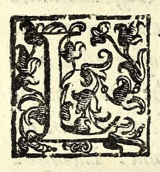 An illustration from Discorso di Agostino Michele, in cui contra l'opinione di tutti più illustri scrittori dell'arte poetica chiaramente si dimostra : come si possono scriuere con molta lode le comedie, e le tragedie in prosa : et di molti altri precetti di cotal arte assai copiosamente si ragiona, 1592, leaf 94