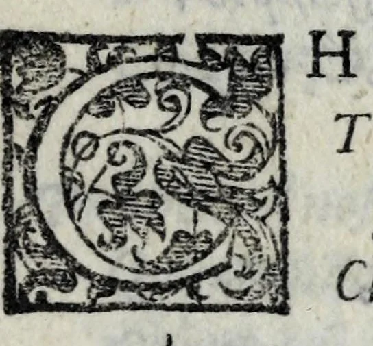 An illustration from Discorso di Girolamo Catena, fatto nell'Academia de gl'illustrissimi affidati, sopra la traduttione delle scienze, & d'altre facultà, 1581, leaf 147