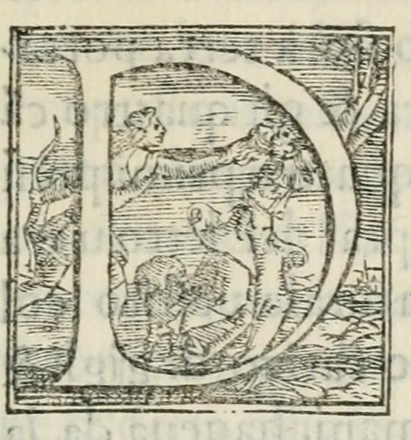 An illustration from Discorso e particolar notitia de le feste, trionfi, pompe, e giostre fatte in Francia, dopo la conclusion de la pace, nel sposar di Madama Elisabetta, primagenita del re christianissimo insieme con le pompe funerali, dopo la morte di Sua Maestà christianissima, accuratissimamente dal uero scritte, 1559, leaf 23