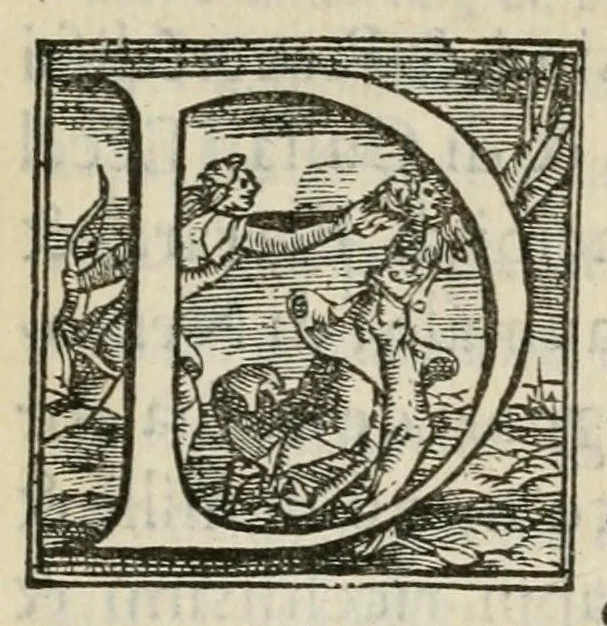 An illustration from Discorso e particolar notitia de le feste, trionfi, pompe, e giostre fatte in Francia, dopo la conclusion de la pace, nel sposar di Madama Elisabetta, primagenita del re christianissimo insieme con le pompe funerali, dopo la morte di Sua Maestà christianissima, accuratissimamente dal uero scritte, 1559, leaf 7