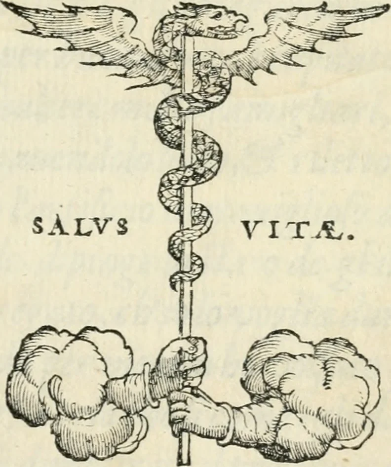 An illustration from Discorso sopra la livrea d'vn cavaliere incognito : caualiere della giostra de' signori Accademici Gimnosofisti di Padoua del LXVII. nella quale si rappresenta lo stato de gl'innamorati, 1567, leaf 4