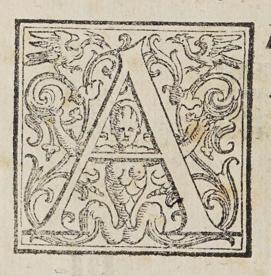 An illustration from Discorso sopra la mirabil : opera di basso rilievo di cera stuccata con colori scolpita in pietra negra, 1590, leaf 34