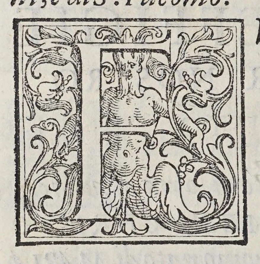 An illustration from Discorso sopra la mirabil : opera di basso rilievo di cera stuccata con colori scolpita in pietra negra, 1590, leaf 58