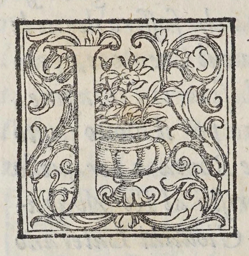 An illustration from Discorso sopra la mirabil : opera di basso rilievo di cera stuccata con colori scolpita in pietra negra, 1590, leaf 60