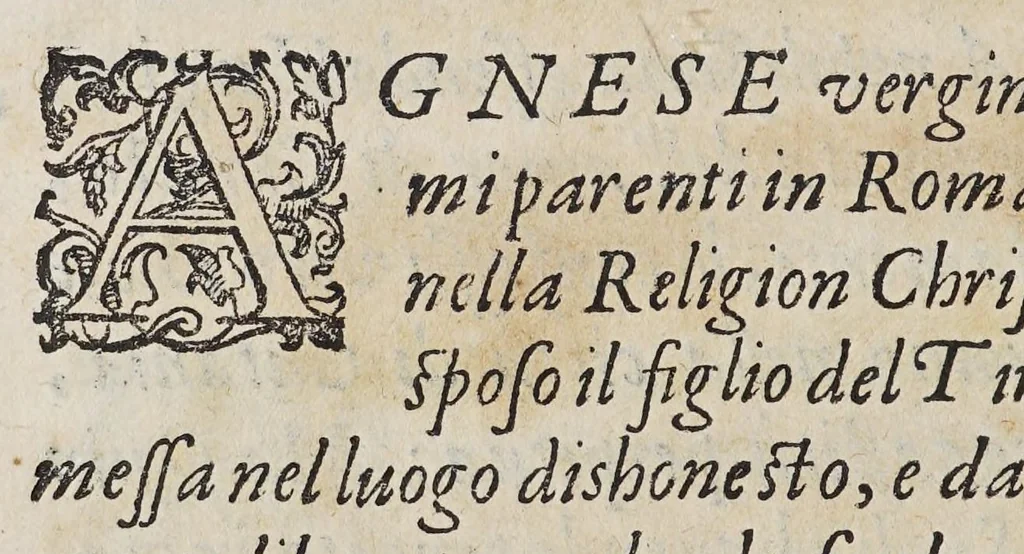 An illustration from Discorso sopra la mirabil : opera di basso rilievo di cera stuccata con colori scolpita in pietra negra, 1590, leaf 80