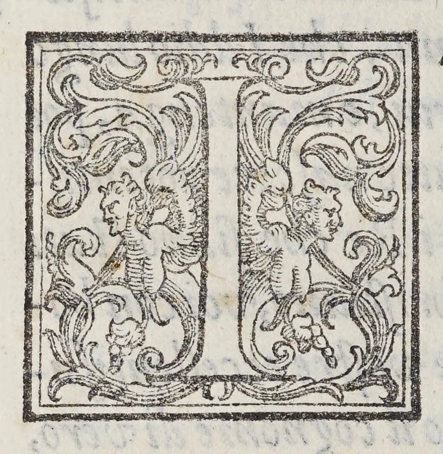 An illustration from Discorso sopra la mirabil : opera di basso rilievo di cera stuccata con colori scolpita in pietra negra, 1590, leaf 96