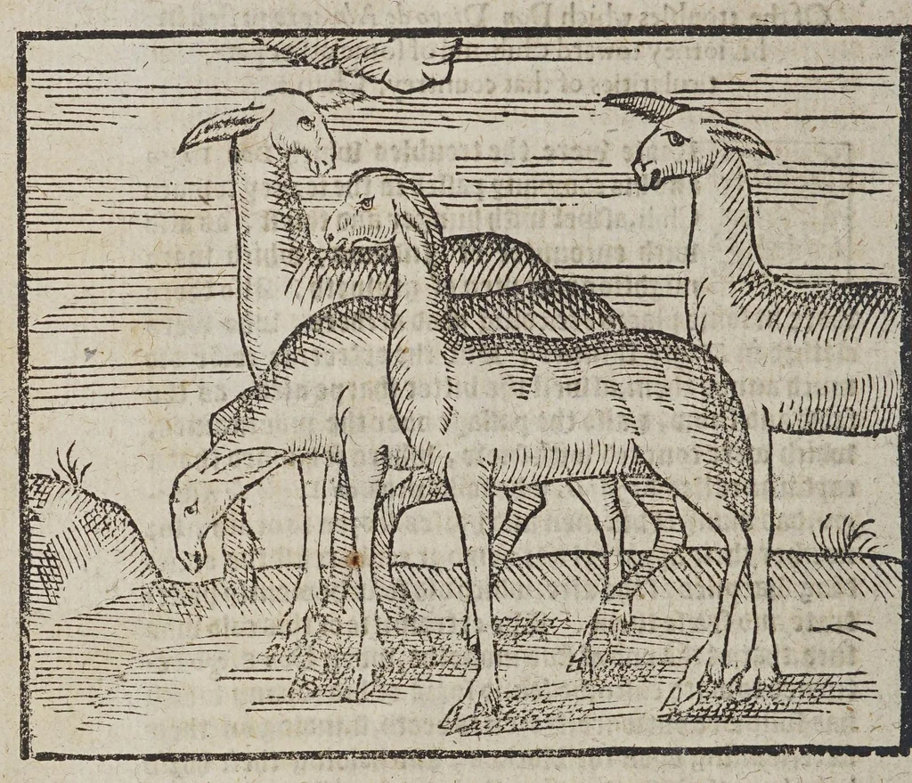 An illustration from The discouerie and conquest of the prouinces of Peru, and the nauigation in the South Sea, along that coast. : And also of the ritche mines of Potosi., 1581, leaf 114