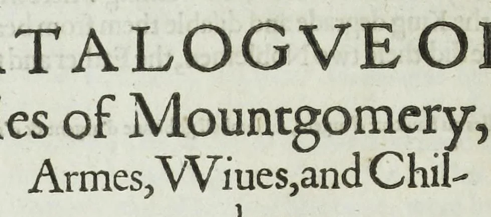 An illustration from A discouerie of errours in the first edition of the Catalogue of nobility, published by Raphe Brooke, Yorke Herald, 1619, and printed heerewith word for word, according to that edition : with a continuance of the successions, from 1619 vntill this present yeare, 1622 : at the end whereof, is annexed a review of a later edition, by him stolne into the world, 1621, 1622, leaf 396
